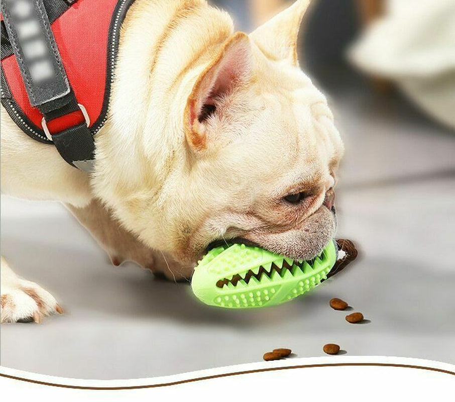 Dog Teeth Cleaning Pet Chew Toy Rope Toys Puppy Clean Tough Molar Bite Teething